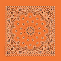 Standard Imported Orange Paisley Bandanna